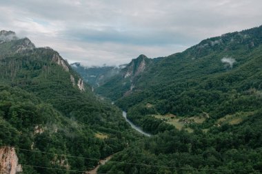 Tara River, kuzey Karadağ 'daki köprünün manzarası. Tara nehri kanyonu, Avrupa 'nın en derin kanyonu, dünyanın ikinci kanyonu. Karadağ Devleti