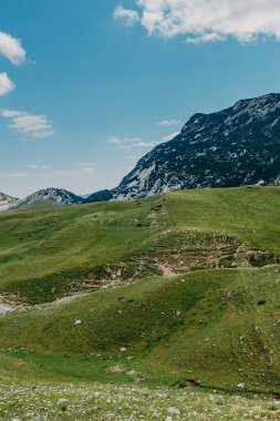 Gün doğarken Dağ Vadisi. Doğal yaz manzarası. Dağ zirvesi yeşil doğa manzarası. Yeşil tepe manzarası