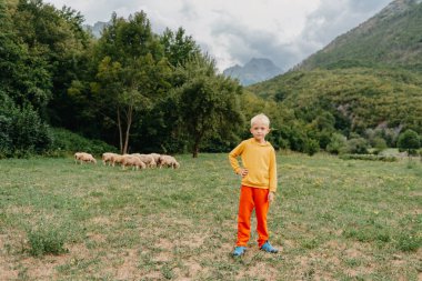 Çiftlikte koyunları olan sevimli küçük bir çocuk, en iyi arkadaşlar, yeşilliğin arka planına karşı erkek ve kuzu. Dağlarda koyun güden küçük bir çocuk. Küçük çocuk ve koyunlar