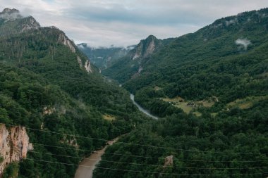 Tara River, kuzey Karadağ 'daki köprünün manzarası. Tara nehri kanyonu, Avrupa 'nın en derin kanyonu, dünyanın ikinci kanyonu. Karadağ Devleti