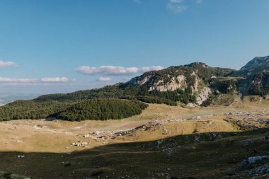 Gün doğarken Dağ Vadisi. Doğal yaz manzarası. Dağ zirvesi yeşil doğa manzarası. Yeşil tepe manzarası