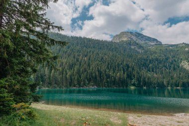 Zümrüt göl manzarası çok güzel. Berrak turkuaz su, karla kaplı dağı, kıyı boyunca uzanan uzun çam ağaçlarını ve mavi gökyüzündeki beyaz bulutları yansıtır..