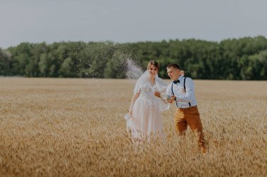 Gelin ve damat buğday tarlasında şampanya bardakları tutuyorlar. Buğday tarlasında mutlu bir çift. Beyaz elbiseli güzel gelin ve damat yaz günü eğleniyor. Yeni evlendi.