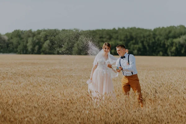 Gelin ve damat buğday tarlasında şampanya bardakları tutuyorlar. Buğday tarlasında mutlu bir çift. Beyaz elbiseli güzel gelin ve damat yaz günü eğleniyor. Yeni evlendi.