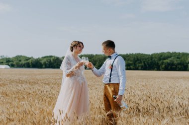 Gelin ve damat buğday tarlasında şampanya bardakları tutuyorlar. Buğday tarlasında mutlu bir çift. Beyaz elbiseli güzel gelin ve damat yaz günü eğleniyor. Yeni evlendi.