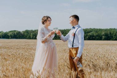 Gelin ve damat buğday tarlasında şampanya bardakları tutuyorlar. Buğday tarlasında mutlu bir çift. Beyaz elbiseli güzel gelin ve damat yaz günü eğleniyor. Yeni evlendi.