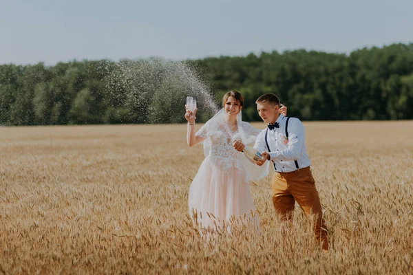 Noiva e noivo segurando copos de champanhe de casamento no fundo do campo de trigo. Casal feliz no campo de trigo. Bela noiva em vestido branco e noivo se divertindo no dia de verão. Casado. — Fotografia de Stock