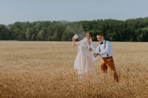 Gelin ve damat buğday tarlasında şampanya bardakları tutuyorlar. Buğday tarlasında mutlu bir çift. Beyaz elbiseli güzel gelin ve damat yaz günü eğleniyor. Yeni evlendi.