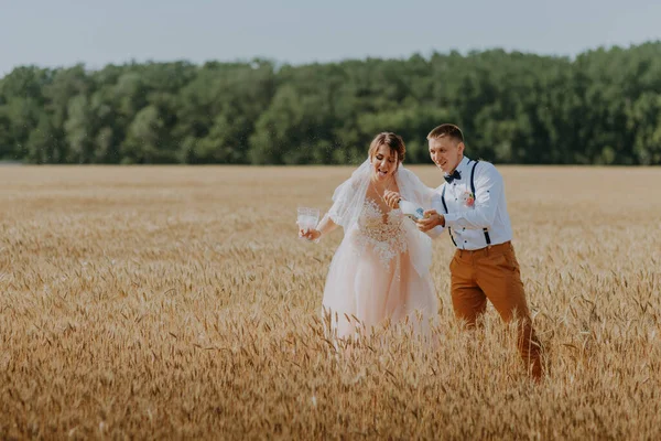 Наречений і наречений тримають весільні келихи шампанського на тлі пшеничного поля. Щаслива весільна пара на пшеничному полі. Красива наречена в білій сукні і наречений розважається в літній день. Просто одружився — стокове фото
