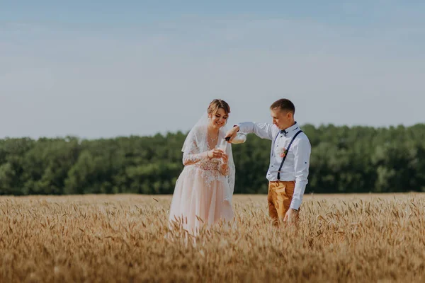 Gelin ve damat buğday tarlasında şampanya bardakları tutuyorlar. Buğday tarlasında mutlu bir çift. Beyaz elbiseli güzel gelin ve damat yaz günü eğleniyor. Yeni evlendi. — Stok fotoğraf