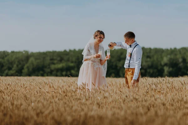 Nevěsta a ženich drží svatební sklenice šampaňského na pozadí pšeničného pole. Šťastný svatební pár na pšeničném poli. Krásná nevěsta v bílých šatech a ženich baví v letní den. Právě ženatý — Stock fotografie
