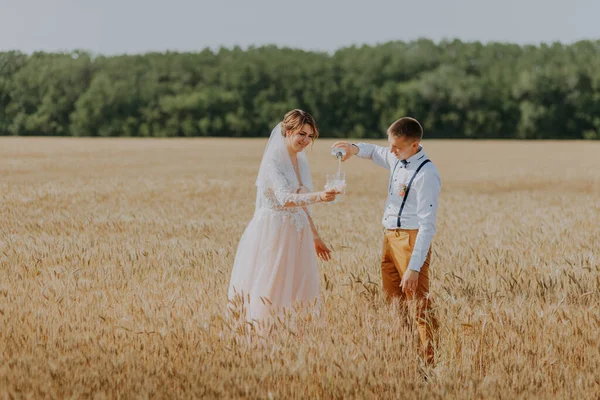 Gelin ve damat buğday tarlasında şampanya bardakları tutuyorlar. Buğday tarlasında mutlu bir çift. Beyaz elbiseli güzel gelin ve damat yaz günü eğleniyor. Yeni evlendi.