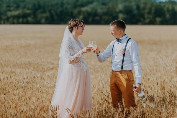 Panna młoda i pan młody trzymający ślubne kieliszki szampana na tle pola pszenicy. Szczęśliwa para weselna polu pszenicy. Piękna panna młoda w białej sukience i pan młody bawiący się w letni dzień. Właśnie wyszła za mąż. — Zdjęcie stockowe