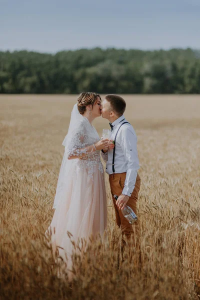 Novia y novio celebrando copas de champán de boda en el fondo del campo de trigo. Feliz pareja de boda en el campo de trigo. Hermosa novia en vestido blanco y novio divirtiéndose en el día de verano. Acabo de casarme —  Fotos de Stock