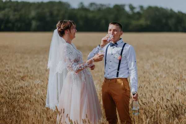 Gelin ve damat buğday tarlasında şampanya bardakları tutuyorlar. Buğday tarlasında mutlu bir çift. Beyaz elbiseli güzel gelin ve damat yaz günü eğleniyor. Yeni evlendi.