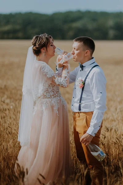 Novia y novio celebrando copas de champán de boda en el fondo del campo de trigo. Feliz pareja de boda en el campo de trigo. Hermosa novia en vestido blanco y novio divirtiéndose en el día de verano. Acabo de casarme —  Fotos de Stock