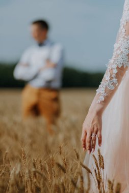 Güneşli bir günde buğday tarlasında şık ve mutlu bir düğün çifti. Gelin ve damat buğday tarlasında öpüşüyor. Genç ve güzel bir çift çim kulaklı bir tarlada sarılıyorlar..