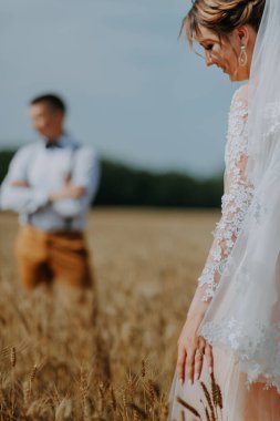 Güneşli bir günde buğday tarlasında şık ve mutlu bir düğün çifti. Gelin ve damat buğday tarlasında öpüşüyor. Genç ve güzel bir çift çim kulaklı bir tarlada sarılıyorlar..