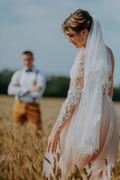 Модная и счастливая супружеская пара на пшеничном поле в солнечный день. Жених и невеста целуются на пшеничном поле. Молодая красивая свадебная пара обнимается в поле с травой в ухе. — стоковое фото