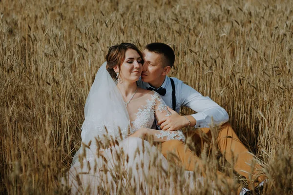 Fashionable and happy wedding couple at wheat field at sunny day. Bride and groom kissing in a wheat field. Young beautiful wedding couple hugging in a field with grass eared. — Stock Photo, Image