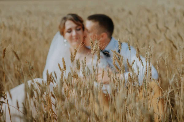 Fashionable and happy wedding couple at wheat field at sunny day. Bride and groom kissing in a wheat field. Young beautiful wedding couple hugging in a field with grass eared. — Stock Photo, Image