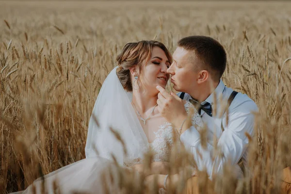 Casal de casamento elegante e feliz no campo de trigo no dia ensolarado. Noiva e noivo beijando em um campo de trigo. Jovem lindo casamento casal abraçando em um campo com grama encravada. — Fotografia de Stock