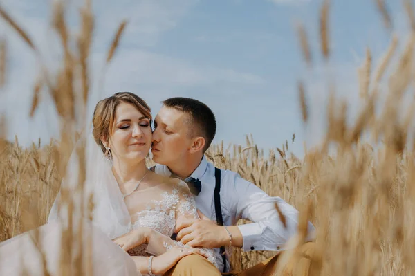 Coppia nuziale alla moda e felice a campo di grano in giorno soleggiato. Sposa e sposo che si baciano in un campo di grano. Giovane bella coppia di nozze che si abbraccia in un campo con erba orecchio. — Foto Stock
