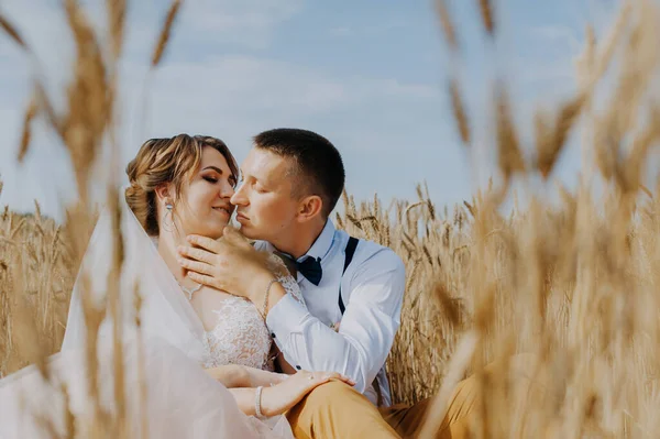 Pareja de boda de moda y feliz en el campo de trigo en el día soleado. Novia y novio besándose en un campo de trigo. Joven hermosa boda pareja abrazándose en un campo con hierba oreja. —  Fotos de Stock