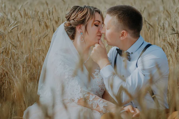 Fashionabla och glada bröllop par på vetefält på solig dag. Brud och brudgum kyssas på ett vetefält. Unga vackra bröllop par kramas i ett fält med gräs örat. — Stockfoto