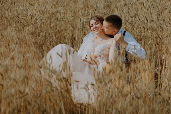 Módní a šťastný svatební pár na pšeničném poli za slunečného dne. Nevěsta a ženich líbají na pšeničném poli. Mladý krásný svatební pár objímání v poli s trávou ušima. — Stock fotografie