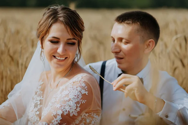 Pasangan pengantin yang modis dan bahagia di ladang gandum pada hari yang cerah. Pengantin pria dan wanita berciuman di ladang gandum. Pasangan muda yang cantik berpelukan di lapangan dengan rumput yang ditaburi. — Stok Foto