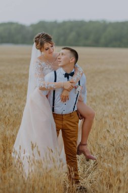 Güneşli bir günde buğday tarlasında şık ve mutlu bir düğün çifti. Gelin ve damat buğday tarlasında öpüşüyor. Genç ve güzel bir çift çim kulaklı bir tarlada sarılıyorlar..