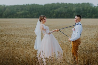 Güneşli bir günde buğday tarlasında şık ve mutlu bir düğün çifti. Gelin ve damat buğday tarlasında öpüşüyor. Genç ve güzel bir çift çim kulaklı bir tarlada sarılıyorlar..