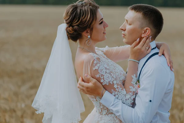 Fashionable and happy wedding couple at wheat field at sunny day. Bride and groom kissing in a wheat field. Young beautiful wedding couple hugging in a field with grass eared. — Foto Stock