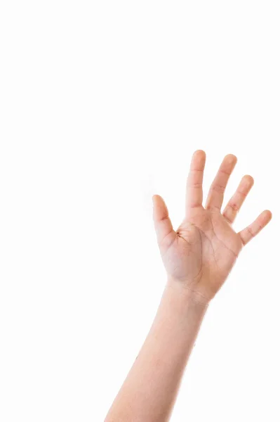 Close up of a hand counting five. Woman hand showing the five fingers isolated on a white background. — Foto de Stock