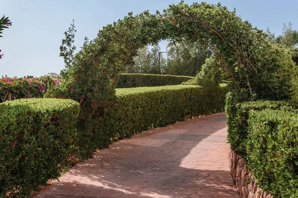 Venkovní zelená tajná zahrada s klenutým vchodem a bránou. Stezka v parku v tunelu pod obloukem propleteným tropickými vinicemi a bujnou zelení — Stock fotografie