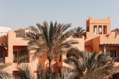 Mısır 'da palmiye ağacı olan lüks tatil köşkü.