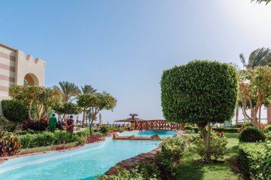 Yüzme Havuzu ve palmiye ağaçları Mısır'daki güzel