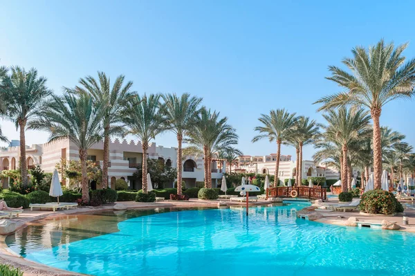 Beautiful swimming pool and palm trees in Egypt — Stock Photo, Image