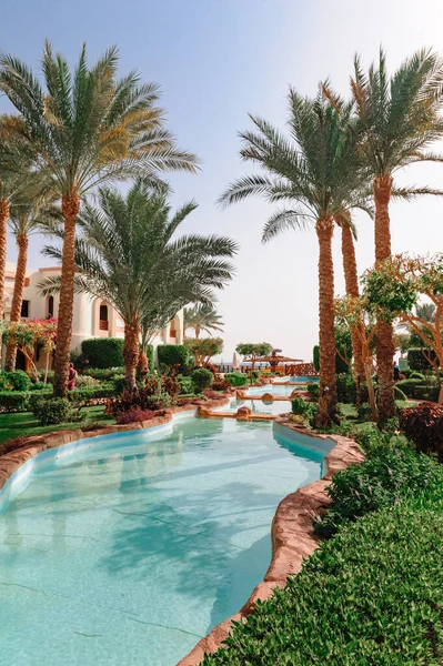 Krásný plavání bazén a palmy stromy v Egyptě — Stock fotografie