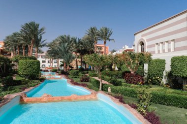 Yüzme Havuzu ve palmiye ağaçları Mısır'daki güzel