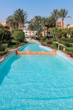 Yüzme Havuzu ve palmiye ağaçları Mısır'daki güzel