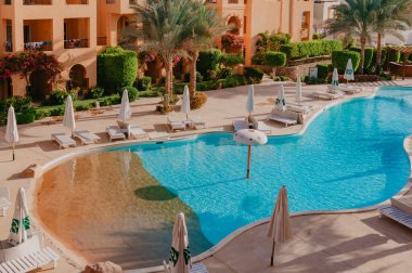 Yüzme Havuzu ve palmiye ağaçları Mısır'daki güzel