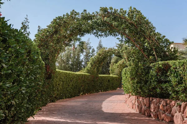 Jardín secreto verde al aire libre con entrada y puerta arqueadas. Sendero del parque de azulejos en un túnel bajo un arco entrelazado con vides tropicales y exuberante vegetación —  Fotos de Stock
