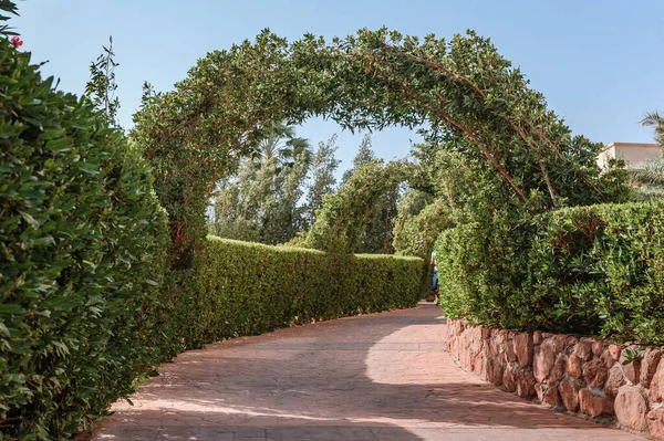 Outdoor Green secret garden with arched entrance and gate. Плиточный путь парка в туннеле под аркой, переплетенной тропическими лозами и пышной зеленью — стоковое фото