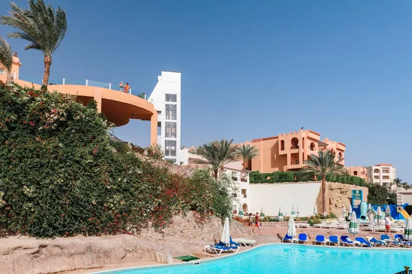 Hermosa piscina y palmeras en Egipto —  Fotos de Stock