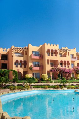 Yüzme Havuzu ve palmiye ağaçları Mısır'daki güzel