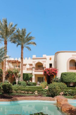 Yüzme Havuzu ve palmiye ağaçları Mısır'daki güzel