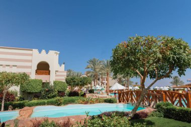 Yüzme Havuzu ve palmiye ağaçları Mısır'daki güzel