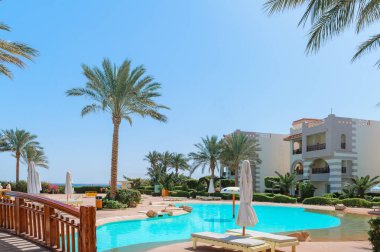 Yüzme Havuzu ve palmiye ağaçları Mısır'daki güzel